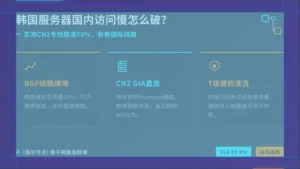韩国服务器国内访问慢怎么破?实测CN2专线提速50%