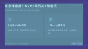 好用的日本服务器配置：企业级NVMe与1Tbps防护真实数据