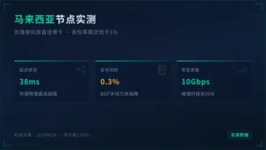 马来西亚服务器延迟怎么样？丢包率低于1%实录
