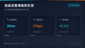 低延迟香港高防服务器实测，CN2直连回国链路丢包率公开