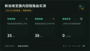 新加坡服务器到国内延迟优化：回程路由走线原理实测