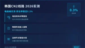 韩国服务器cn2线路2026实测:晚高峰丢包率0.3%