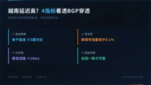 越南服务器延迟高怎么办?4个指标看透BGP穿透