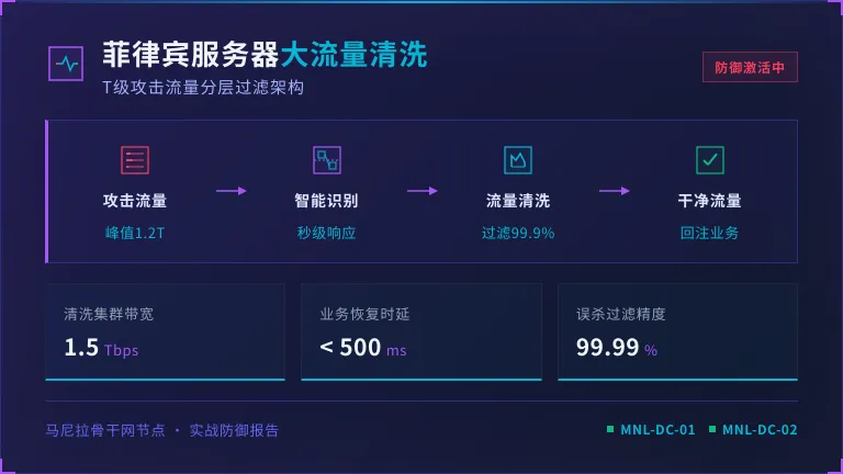 菲律宾服务器遭遇大流量攻击时的流量清洗