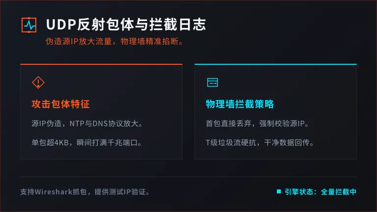 UDP反射攻击的包体特征与清洗墙拦截日志