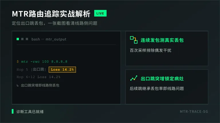  Linux终端跑 mtr -rwc 100 