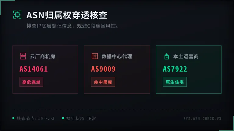 ASN查询结果