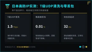 日本高防ip实测T级UDP反射清洗能力与丢包率