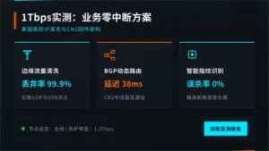 美国高防ip租用实测：1Tbps攻击下业务0中断的技术方案