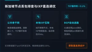 新加坡服务器丢包严重影响业务？本地IXP互联方案解析