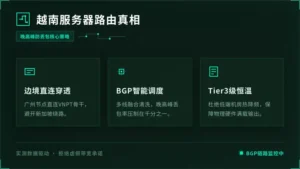 越南服务器怎么选？老运维曝光3条路由真相