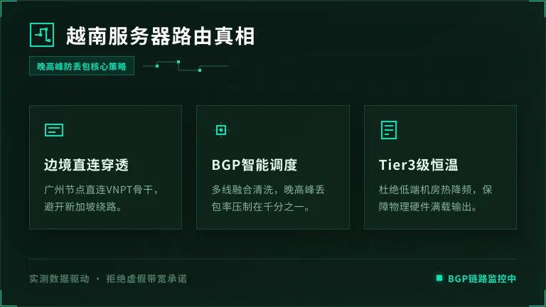 越南服务器怎么选？老运维曝光3条路由真相