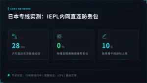 日本专线服务器优势在哪？实测IEPL内网直连防丢包
