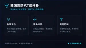 韩国高防ddos防护：抗T级攻击不断网拓扑