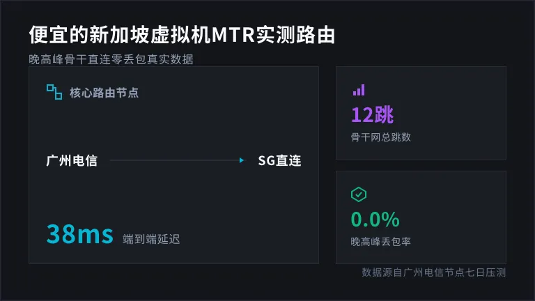 便宜的新加坡虚拟机mtr跑路由的终端