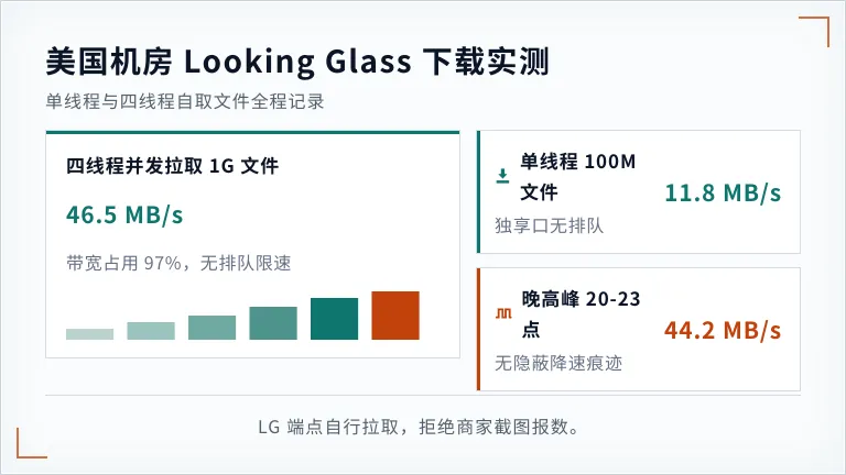 美国服务器looking glass下载速度