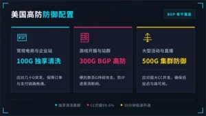 美国高防服务器租用哪家好?3类业务配多大防御