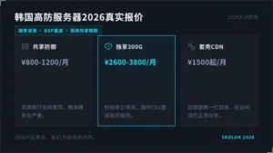 专业的韩国高防服务器月付多少钱？2026年价格与坑位