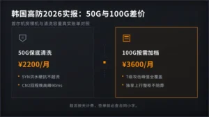 韩国高防服务器租用价格2026实报:50G与100G差价