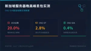 新加坡服务器丢包晚高峰20%?直连线路实测0.4%