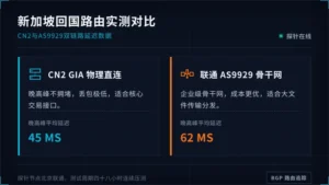 新加坡服务器到国内延迟稳45ms?2条回国线路实话