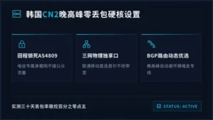 韩国服务器cn2线路晚高峰丢包0.5%靠3处硬设置