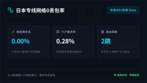 日本专线网络0丢包率：东京IEPL晚高峰实测52ms
