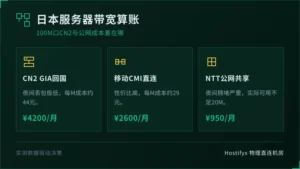 日本服务器带宽价格每M多少钱？100M口CN2和公网算账