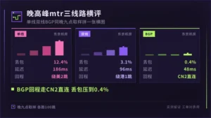 台湾服务器bgp线路避坑记:4类假BGP一眼识破