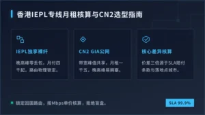 香港iepl专线多少钱一个月？CN2与IEPL价差3倍怎么选