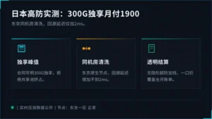 日本高防服务器性价比实测：300G独享防御月付1900元