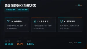 美国服务器cc攻击防御方案：3层清洗扛住9亿次请求
