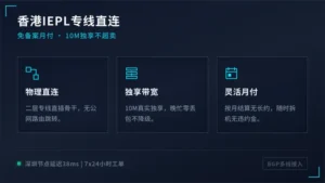 香港专线服务器免备案月付 IEPL独享带宽10M不超卖