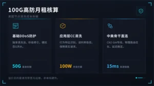 美国高防服务器价格贵吗？100G防御月租没想象中吓人