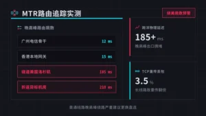 香港服务器租用托管GIA回程三网丢包实测0.1%