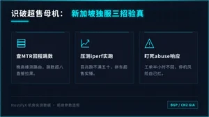 新加坡独立服务器推荐清单：3招识破超售母机