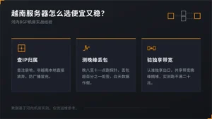 越南服务器怎么选便宜又稳？河内BGP机房5条经验