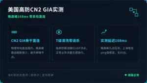 美国免备案高防服务器回国延迟实测CN2 GIA晚高峰168ms丢包0