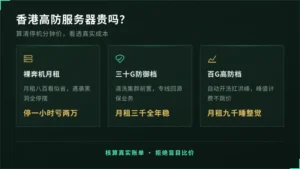 香港高防服务器贵吗？看1次停机分钟价就懂
