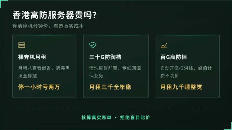 香港高防服务器贵吗？看1次停机分钟价就懂
