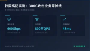 韩国高防服务器防DDoS实测：300G攻击下业务没掉线