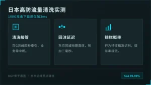 日本高防服务器流量清洗实测:100G攻击下延迟加3ms
